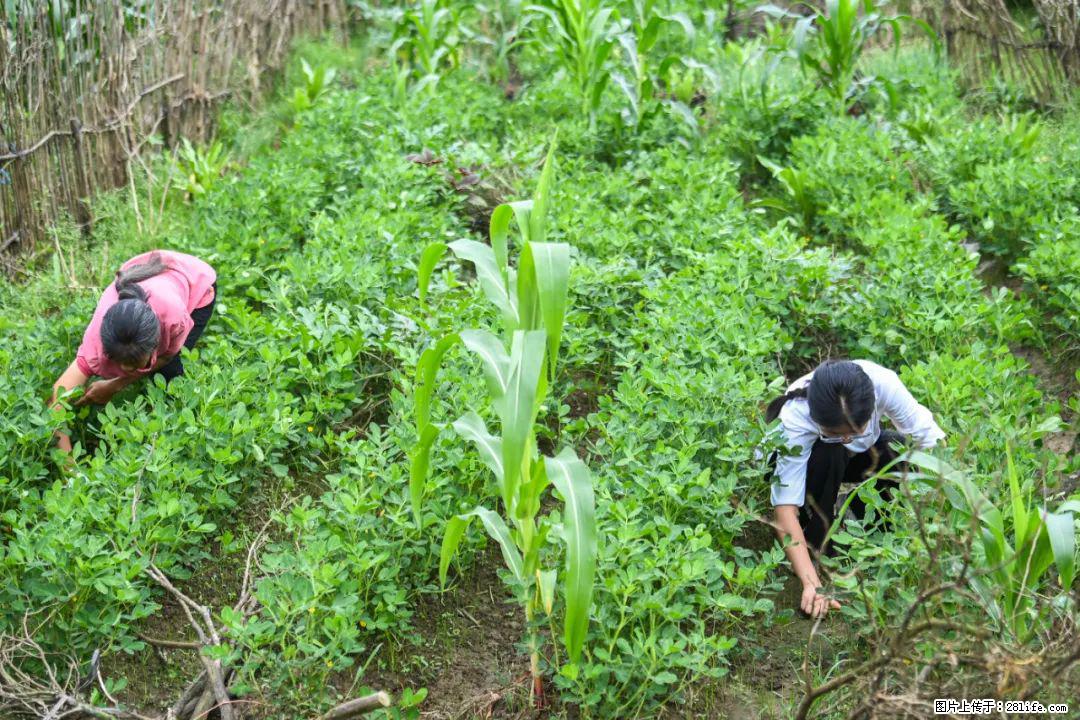 全网追的“扁担女孩”，找了一份暑假工，时薪12元 - 驻马店生活资讯 - 驻马店28生活网 zmd.28life.com