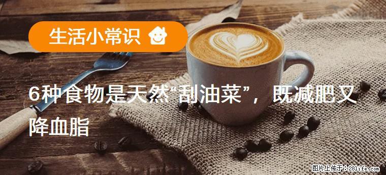 【生活小常识】6种食物是天然“刮油菜”，既减肥又降血脂 - 驻马店生活资讯 - 驻马店28生活网 zmd.28life.com