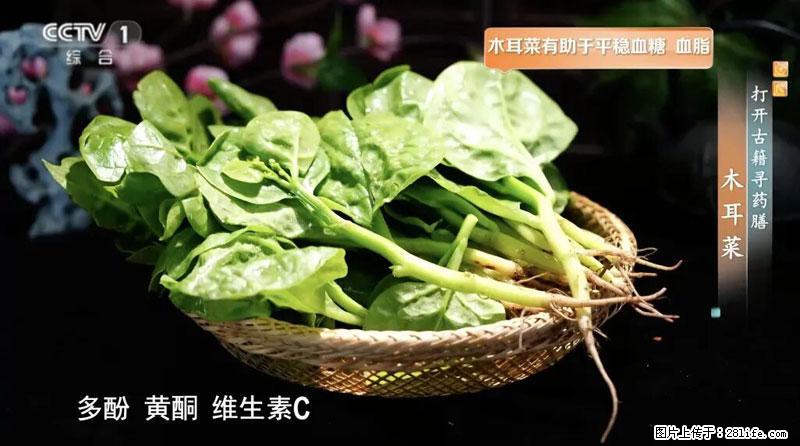 比牛奶补钙还厉害！凉血解毒、稳血糖...这菜冬天必吃，很多人却当草 - 驻马店生活资讯 - 驻马店28生活网 zmd.28life.com
