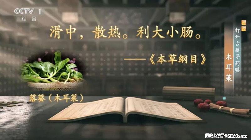 比牛奶补钙还厉害！凉血解毒、稳血糖...这菜冬天必吃，很多人却当草 - 驻马店生活资讯 - 驻马店28生活网 zmd.28life.com