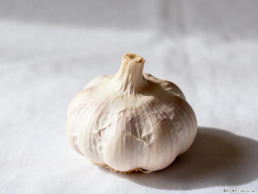 关于大蒜，除了“天然抗生素”，这4个谣言更该警惕! - 驻马店生活资讯 - 驻马店28生活网 zmd.28life.com