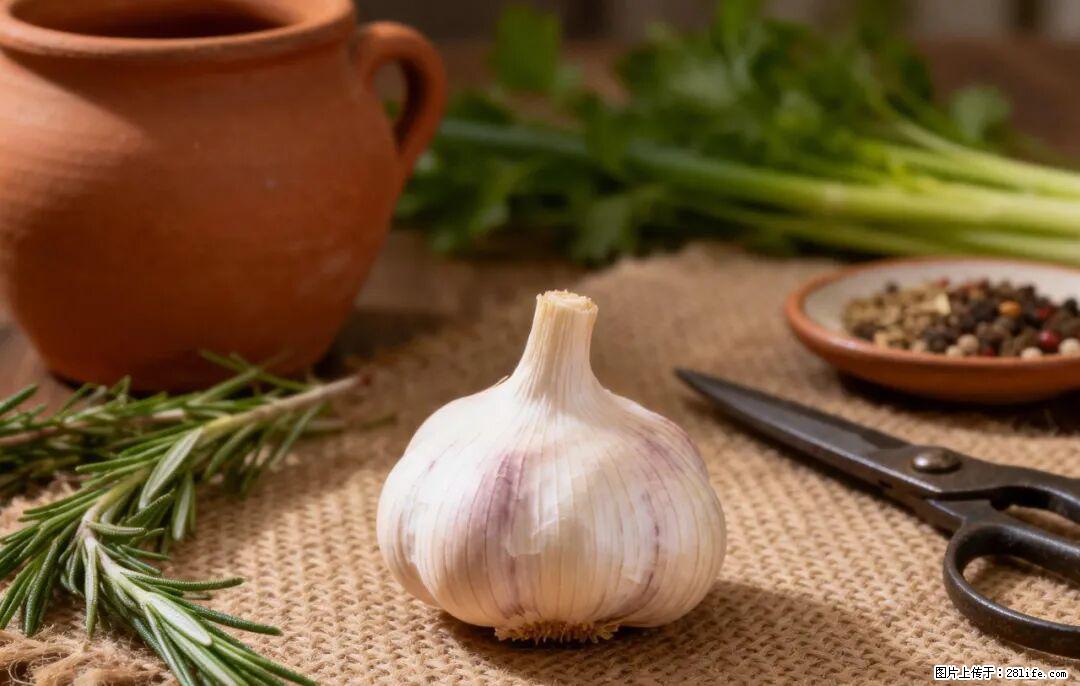关于大蒜，除了“天然抗生素”，这4个谣言更该警惕! - 驻马店生活资讯 - 驻马店28生活网 zmd.28life.com