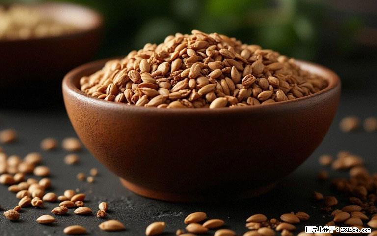 这三苦是三高“克星”，心血管干净不易堵！每天吃一点，指标慢慢降下来~ - 驻马店生活资讯 - 驻马店28生活网 zmd.28life.com