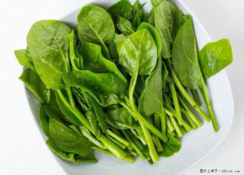 这些蔬菜是“天然钙片”，这6种被医生重点推荐 - 驻马店生活资讯 - 驻马店28生活网 zmd.28life.com