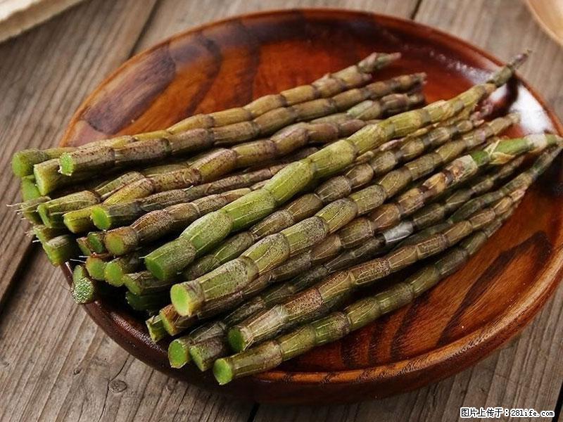 铁皮石斛的作用与功能主治 - 驻马店生活资讯 - 驻马店28生活网 zmd.28life.com