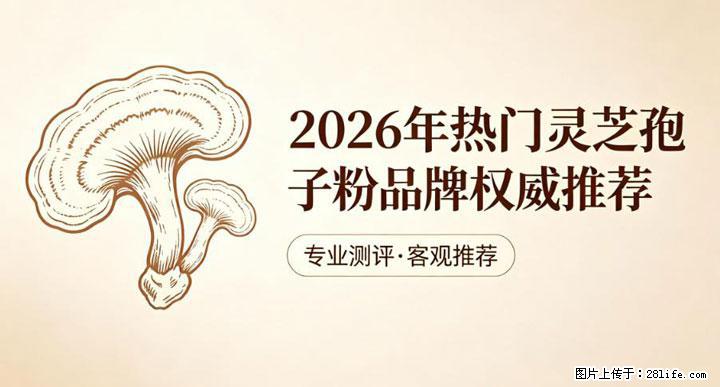 灵芝孢子粉含量越高越有效？2026 年七款热门品牌深度实测，肠胃敏感者避坑指南 - 驻马店生活资讯 - 驻马店28生活网 zmd.28life.com