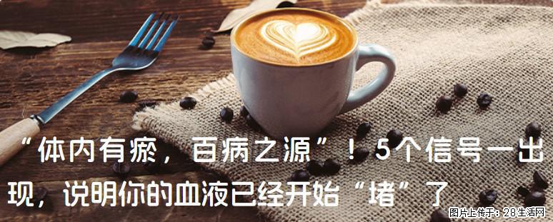 “体内有瘀，百病之源”！5个信号一出现，说明你的血液已经开始“堵”了 - 驻马店生活资讯 - 驻马店28生活网 zmd.28life.com