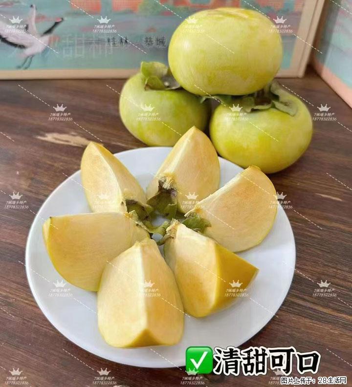 广西桂林平乐桥亭【红心猕猴桃】、【大秋甜柿】上市啦，欢迎各位新老客户下单（另有少量小果出售） - 驻马店生活资讯 - 驻马店28生活网 zmd.28life.com